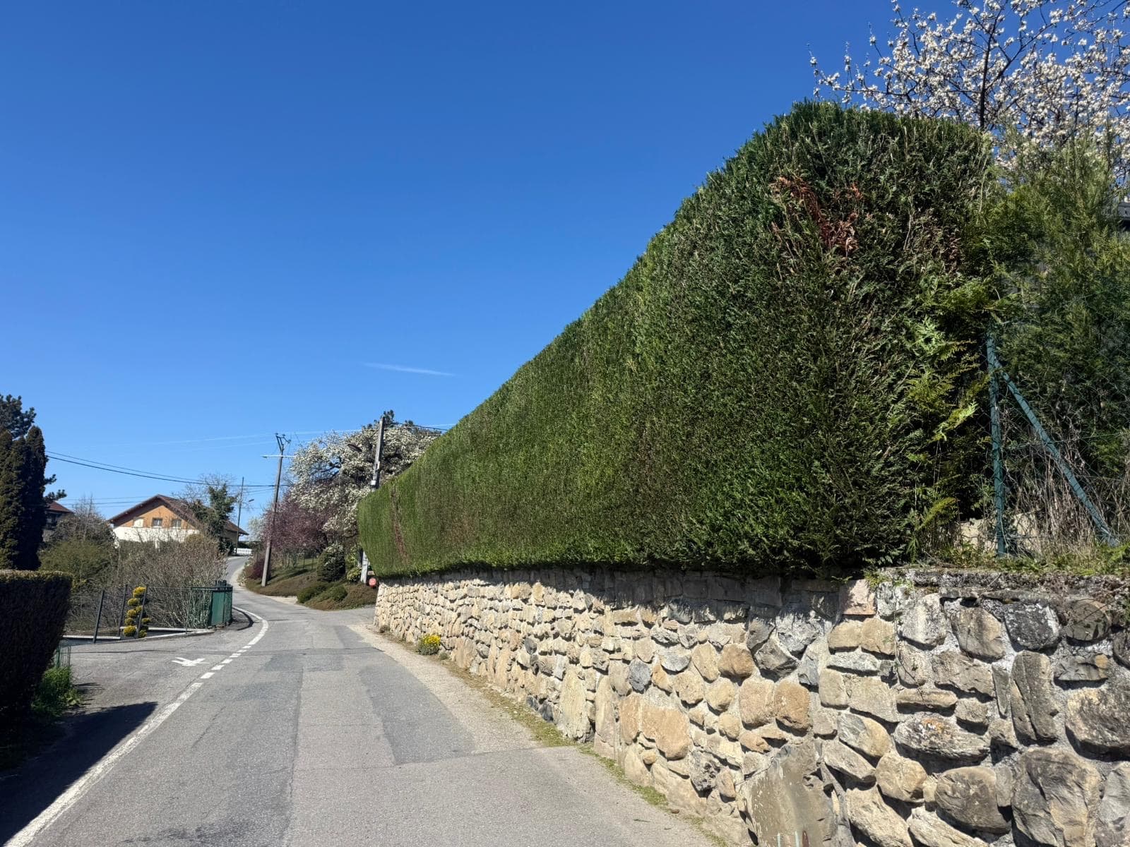 Chantier d'élagage Extrême élagage à Sallanches