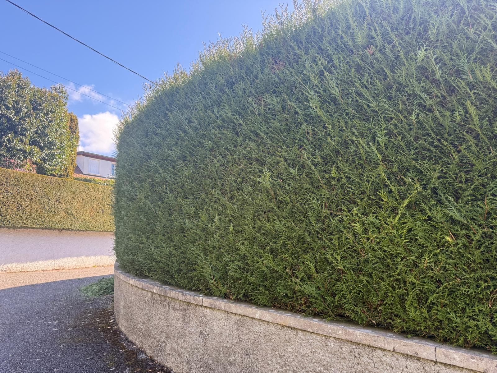 Chantier d'élagage Extrême élagage à Sallanches