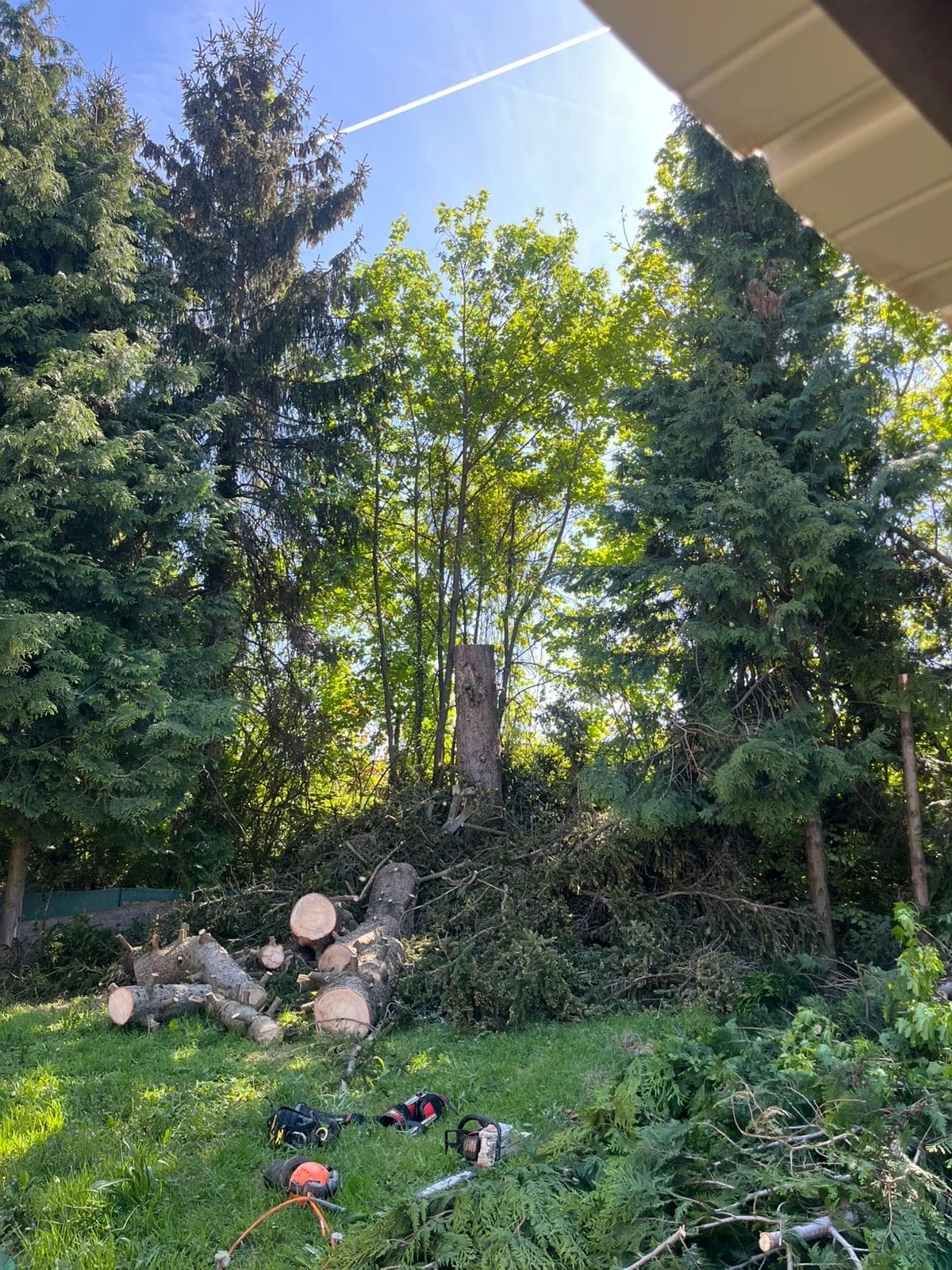 Chantier d'élagage Extrême élagage à Sallanches
