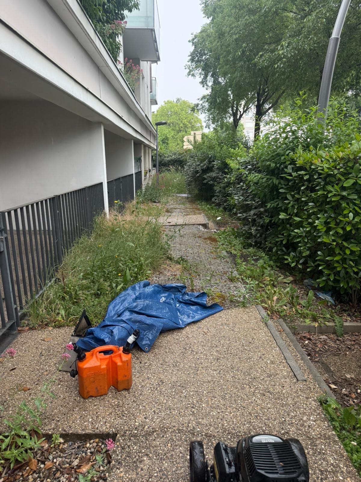 Chantier d'élagage Extrême élagage à Sallanches