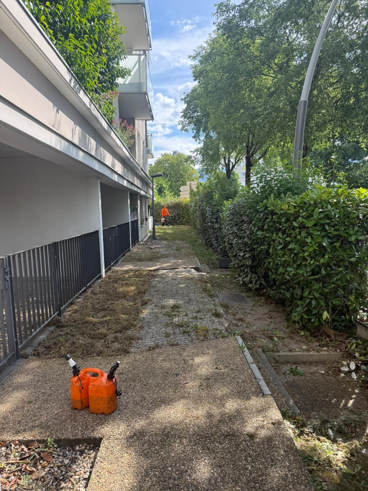 Chantier d'élagage Extrême élagage à Sallanches