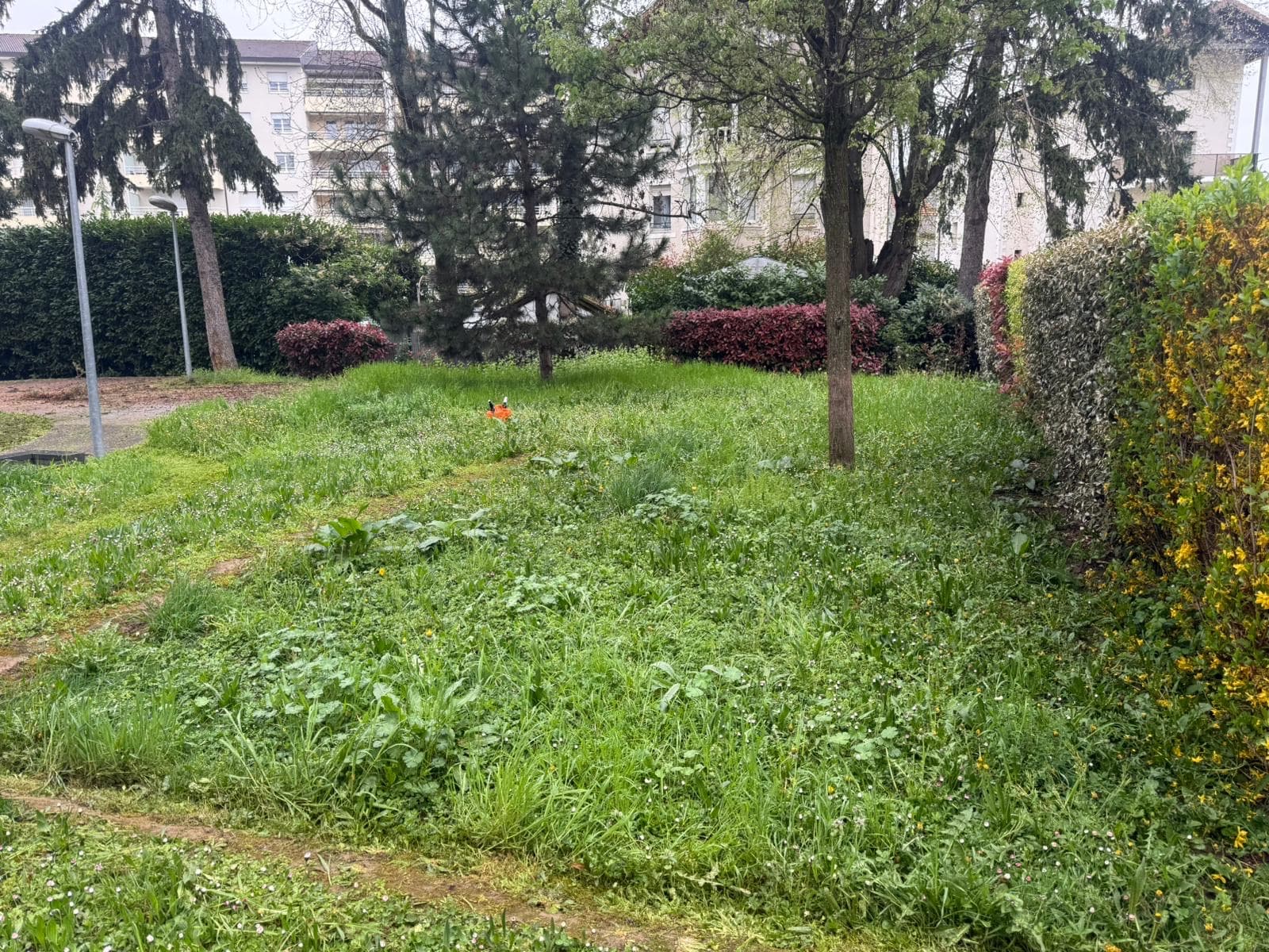 Chantier d'élagage Extrême élagage à Sallanches
