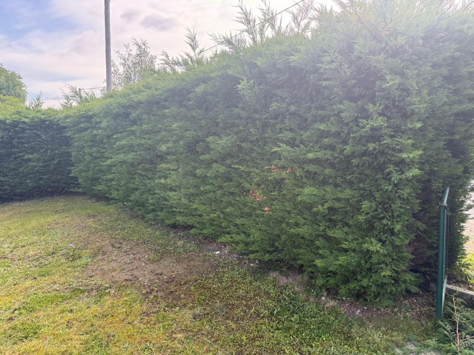 Chantier d'élagage Extrême élagage à Sallanches