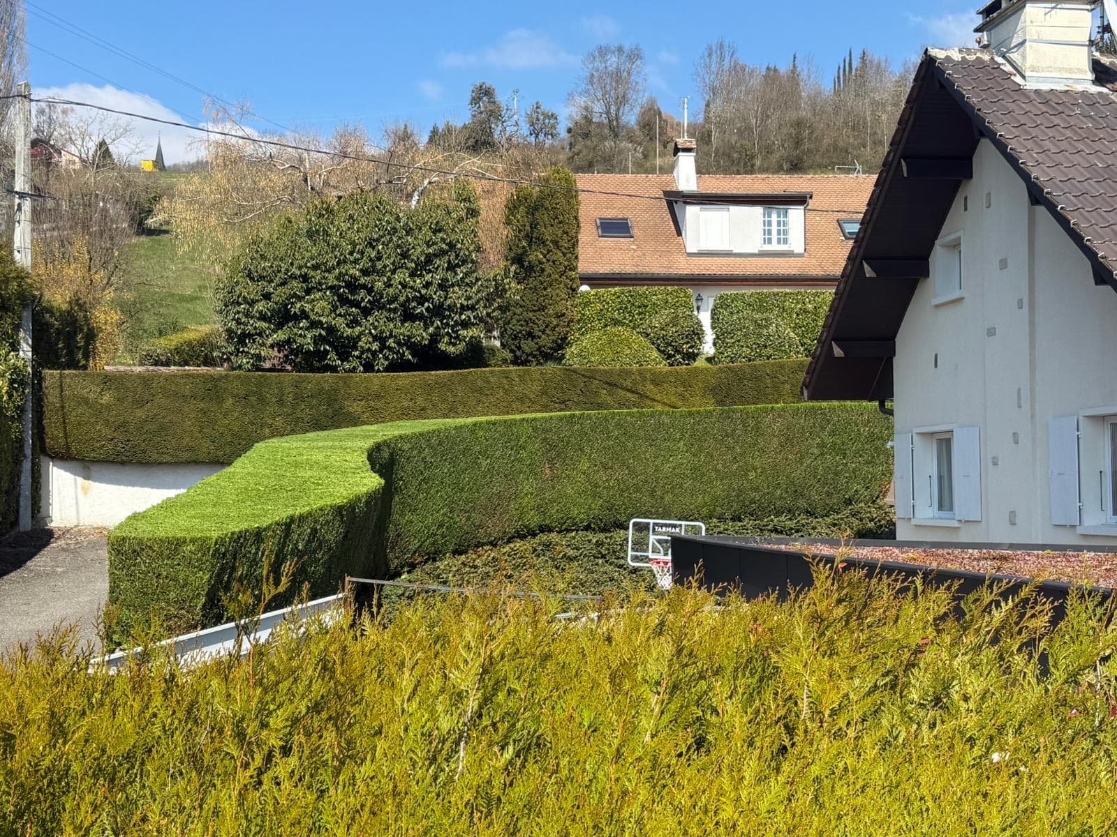 Chantier d'élagage Extrême élagage à Sallanches