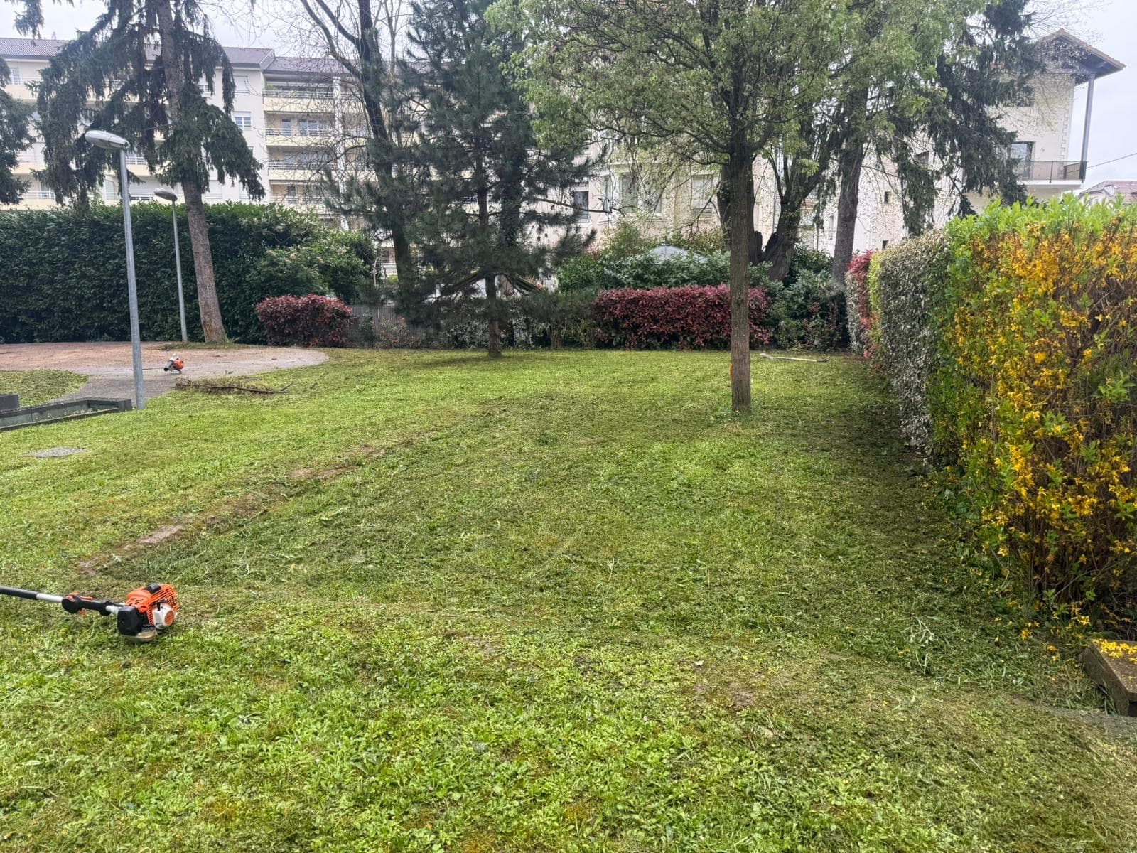 Chantier d'élagage Extrême élagage à Sallanches